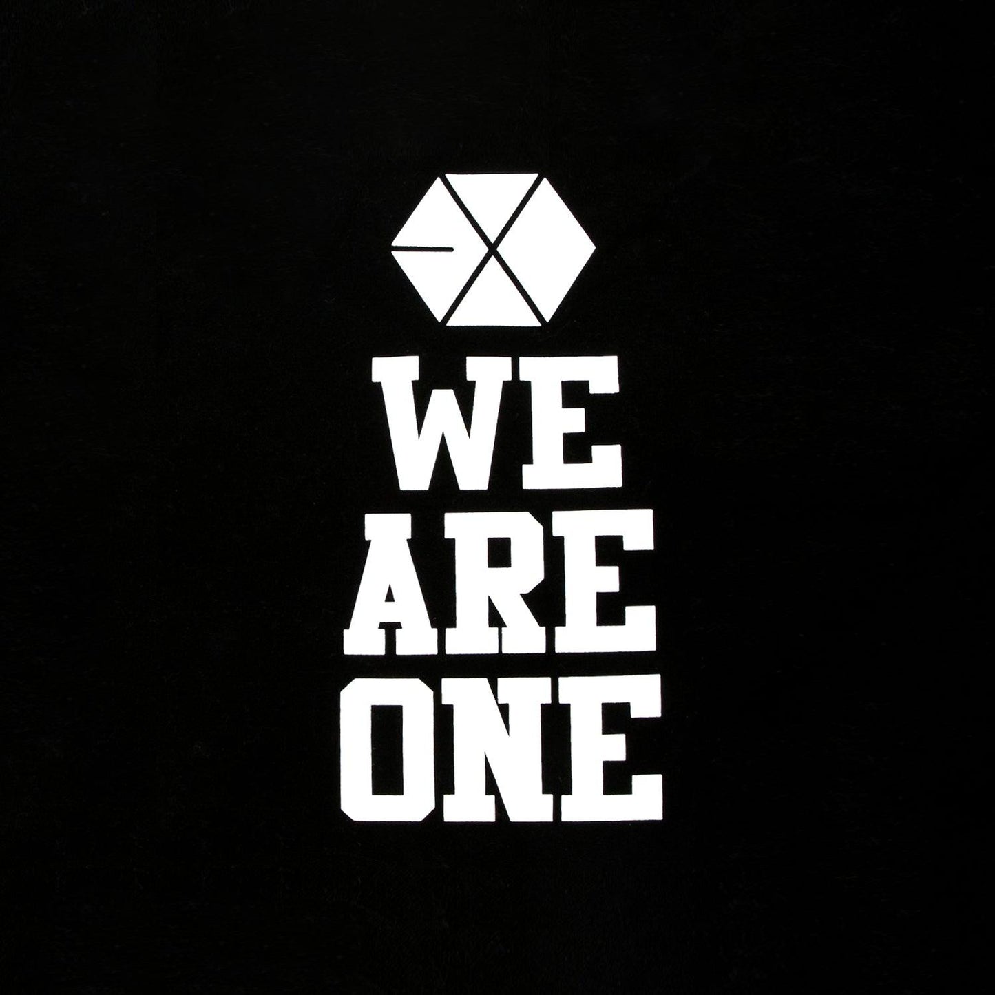 EXO 'OFFICIAL WE ARE ONE TOTE BAG' - KPOP REPUBLIC