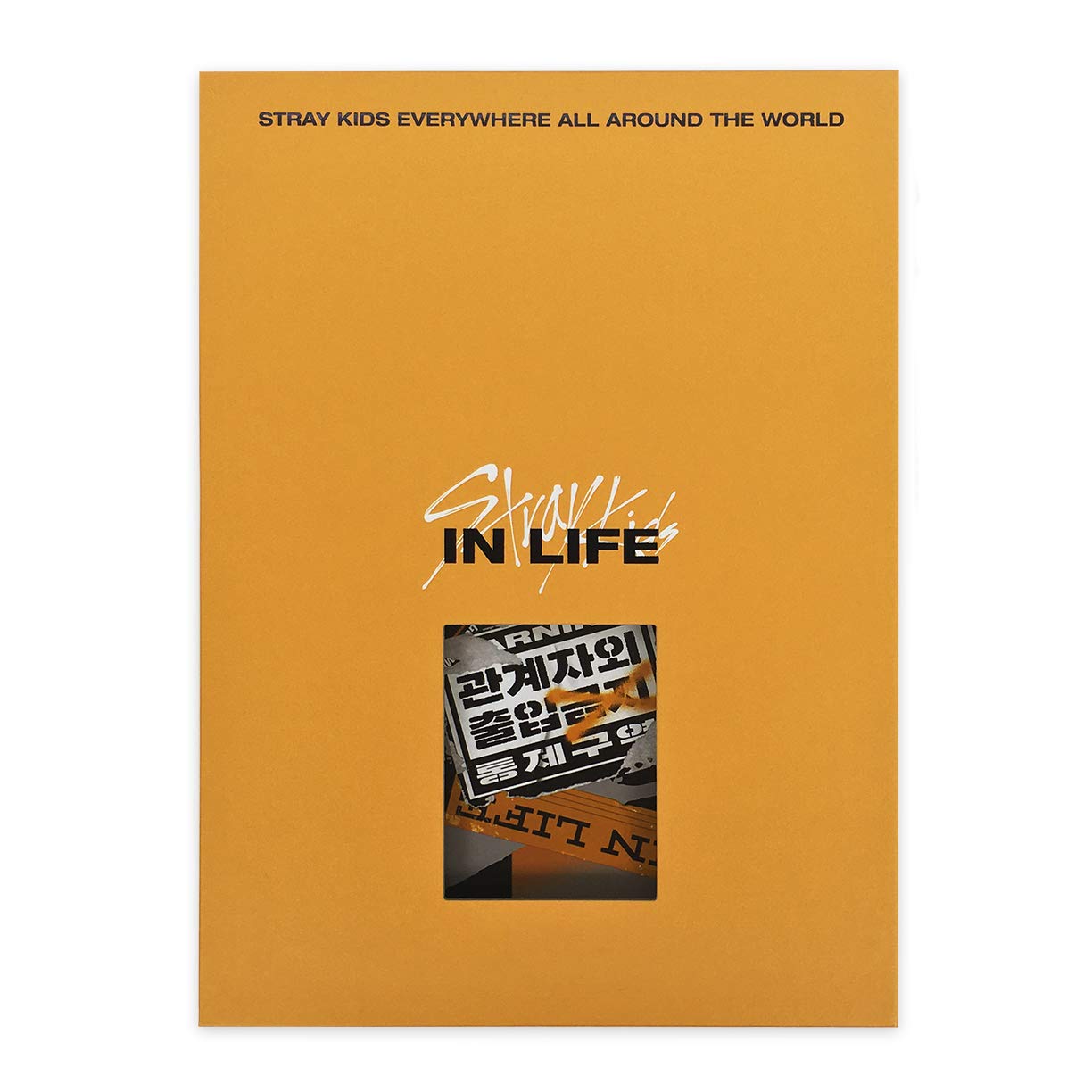 STRAY KIDS 1ST ALBUM REPACKAGE 'IN生 (IN LIFE)' B TYPE VERSION COVER