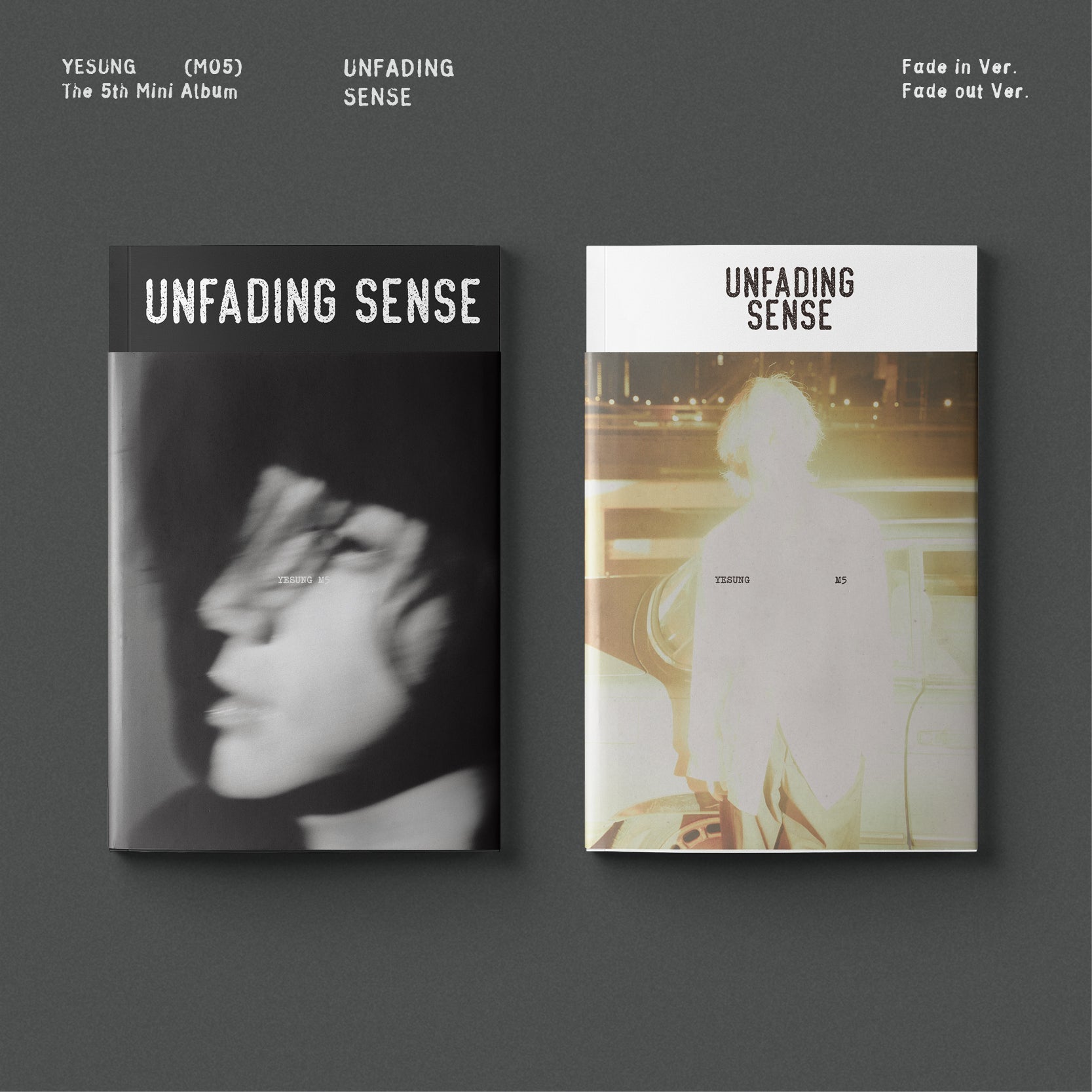 YESUNG 5TH MINI ALBUM 'UNFADING SENSE' (PHOTOBOOK) SET COVER